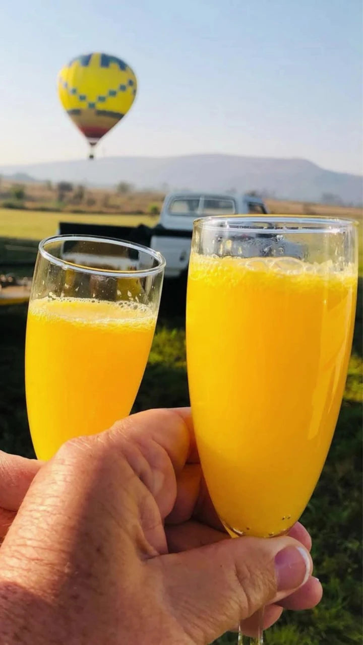Bill Harrop's "Original" Balloon Safaris, 
R560 Skeerpoort South Africa