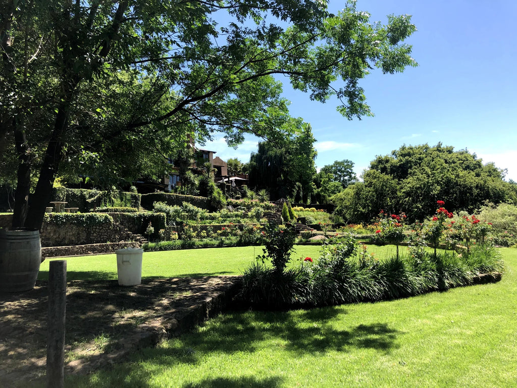 Black Horse Brewery & Distillery, Magaliesburg South Africa