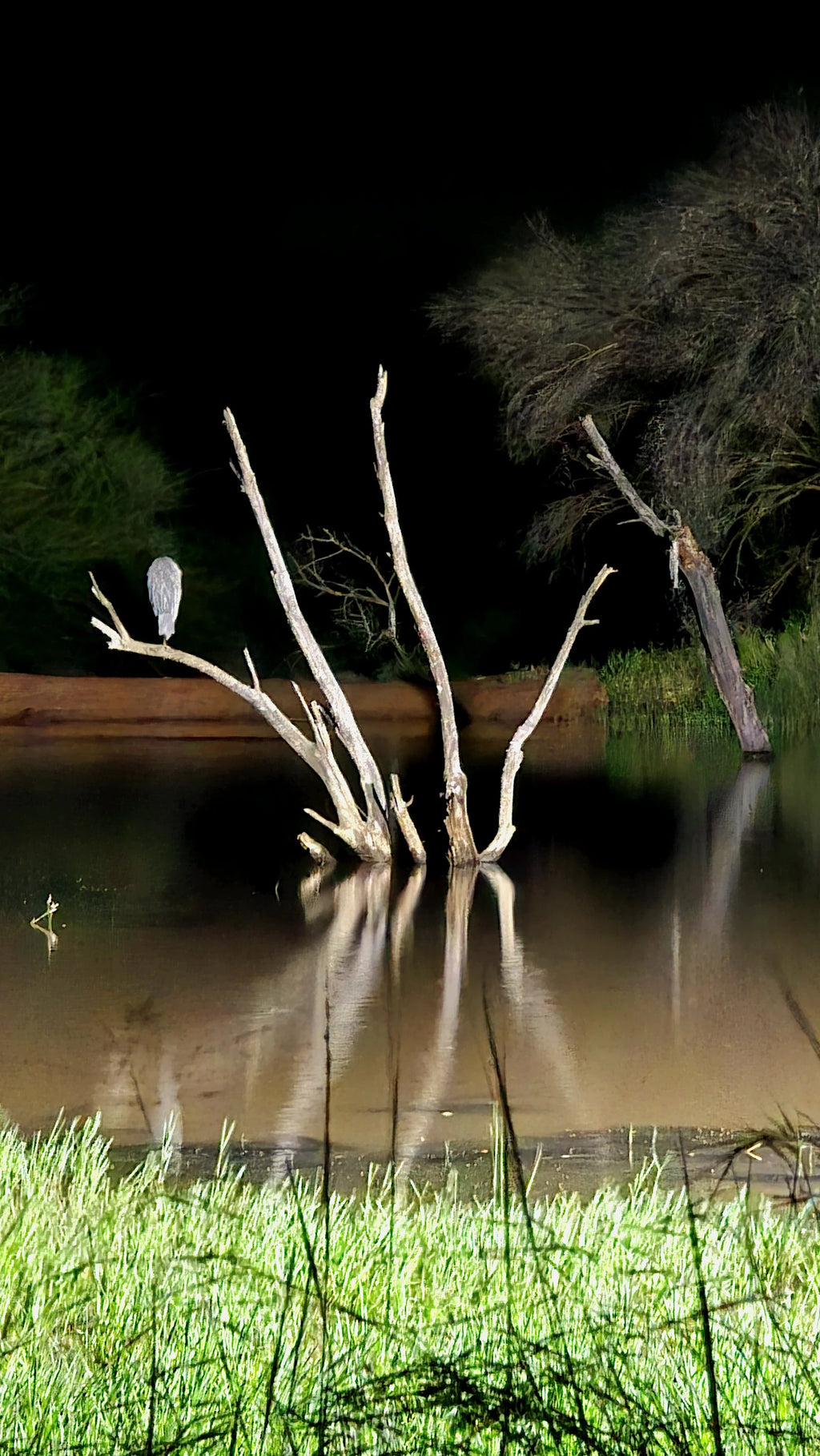 Black Rhino Game Lodge, 
Black Rhino Game Reserve R565 Pilanesberg South Africa