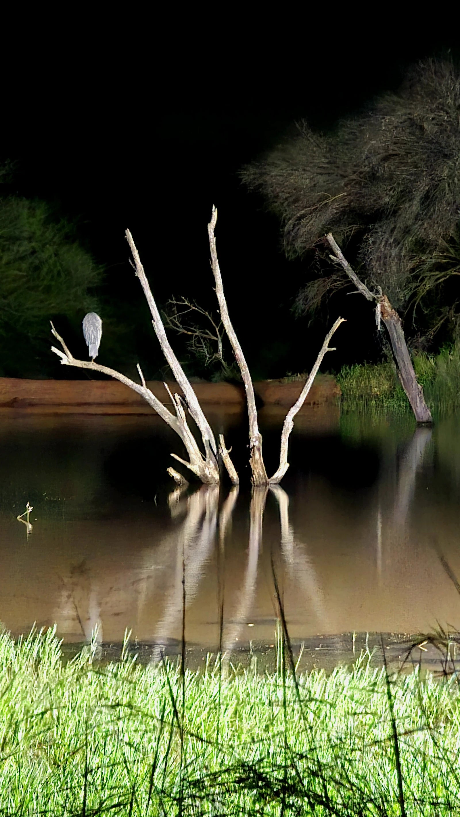 Black Rhino Game Lodge, 
Black Rhino Game Reserve R565 Pilanesberg South Africa