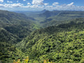 Black River Gorges National Park, 
B103 - Plaine Champagne Road Mauritius