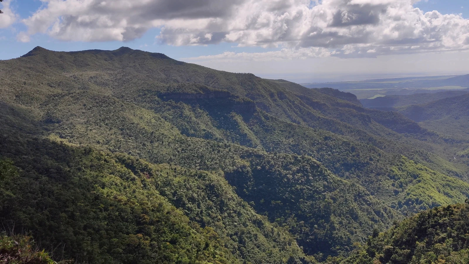 Black River Gorges National Park, 
B103 - Plaine Champagne Road Mauritius