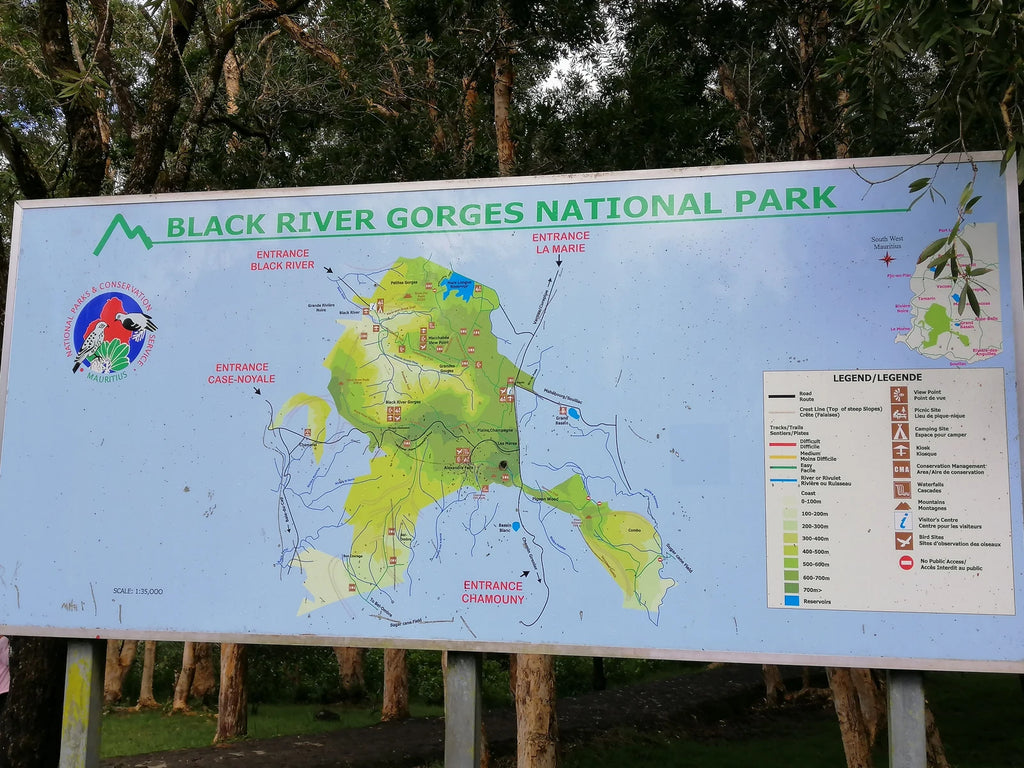 Black River Gorges National Park, 
B103 - Plaine Champagne Road Mauritius