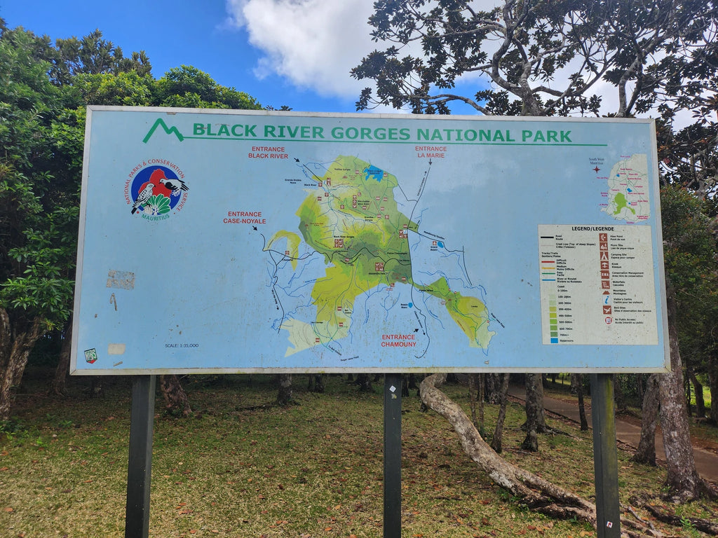 Black River Gorges National Park, 
B103 - Plaine Champagne Road Mauritius