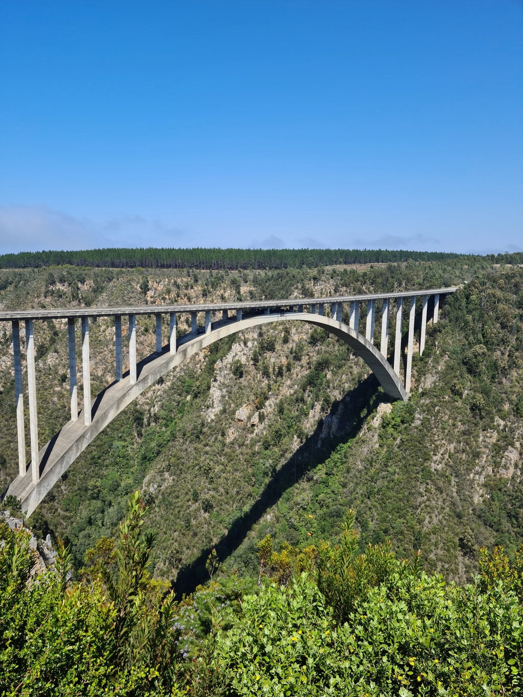 Bloukrans Bungy, Plettenberg Bay South Africa