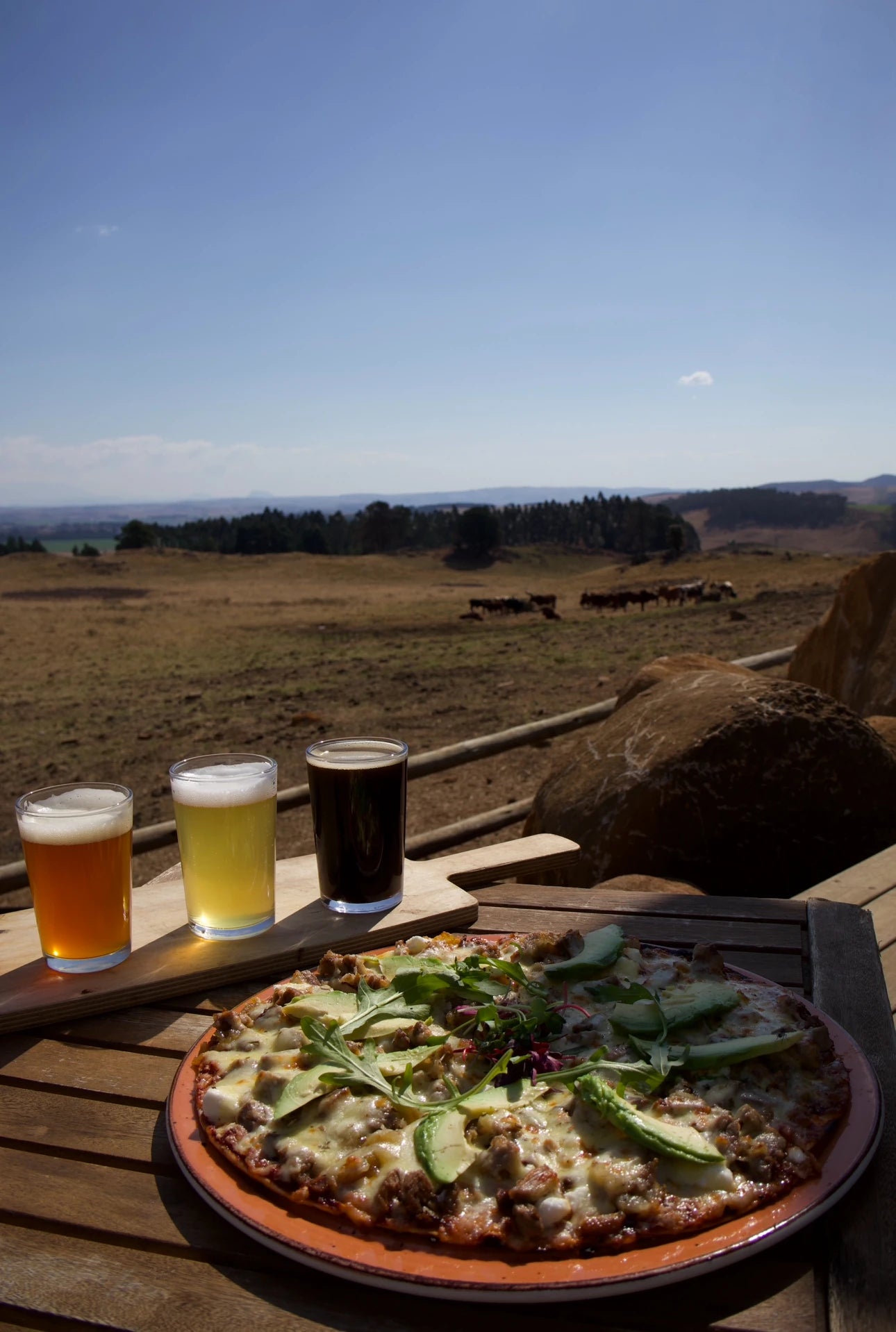 Blueberry Cafe, Nottingham Road South Africa