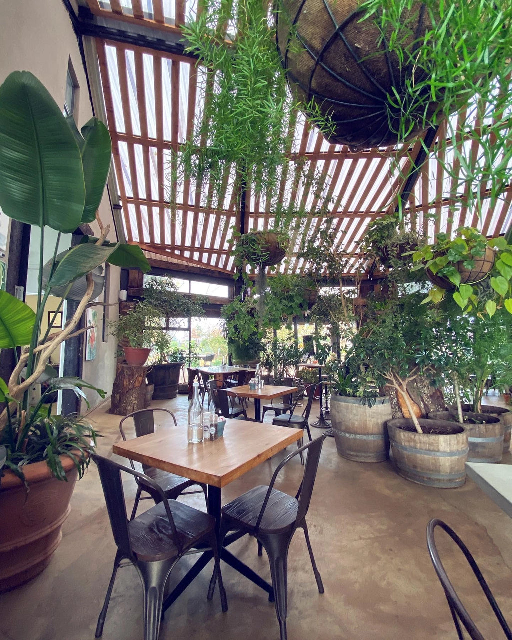 Blueberry Cafe, Nottingham Road South Africa