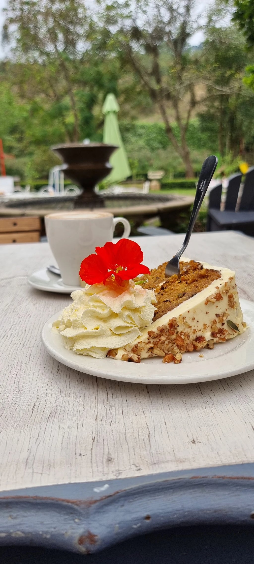 Bona Terra Cafe, Hillcrest South Africa