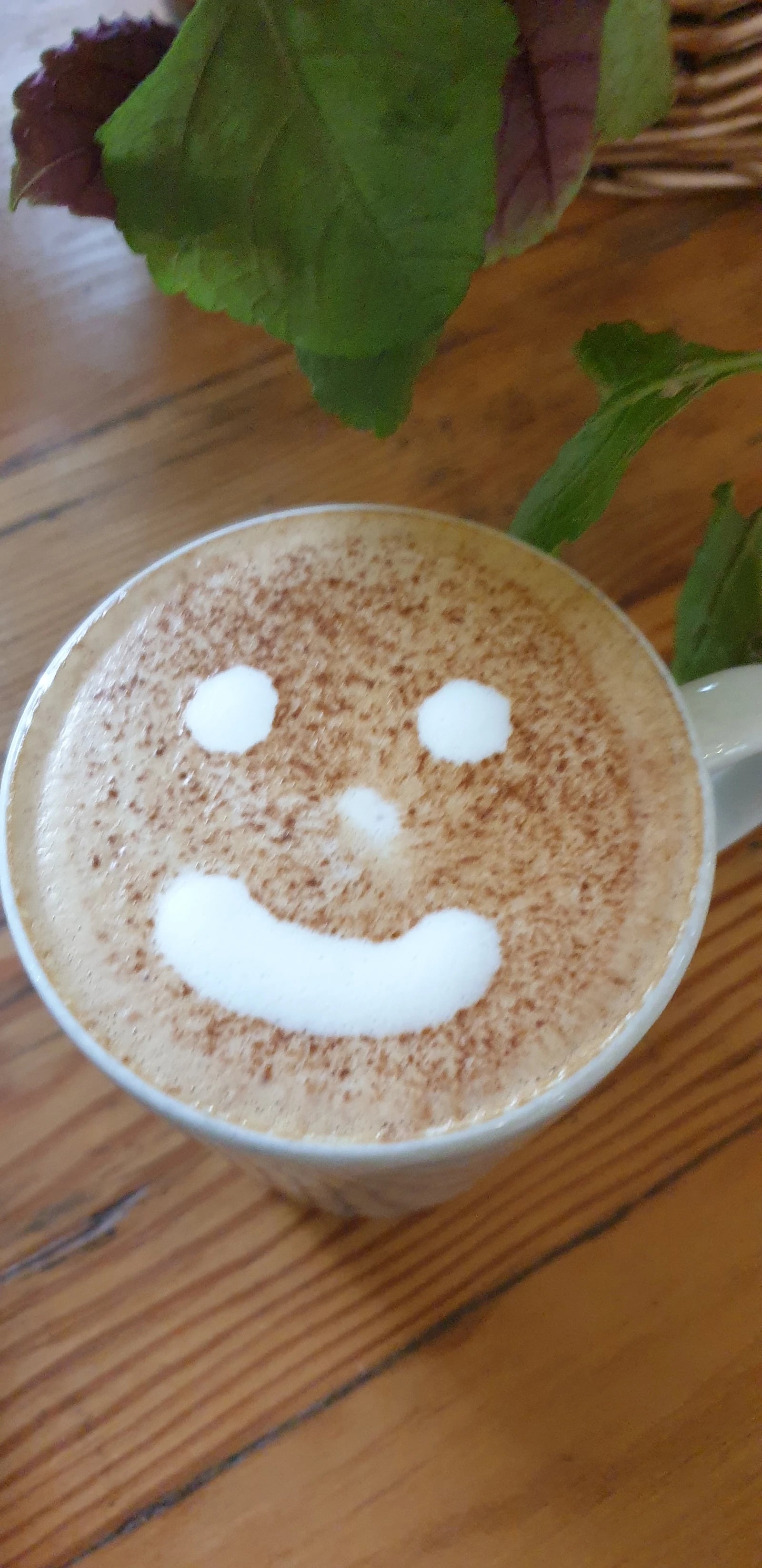 Bona Terra Cafe, Hillcrest South Africa