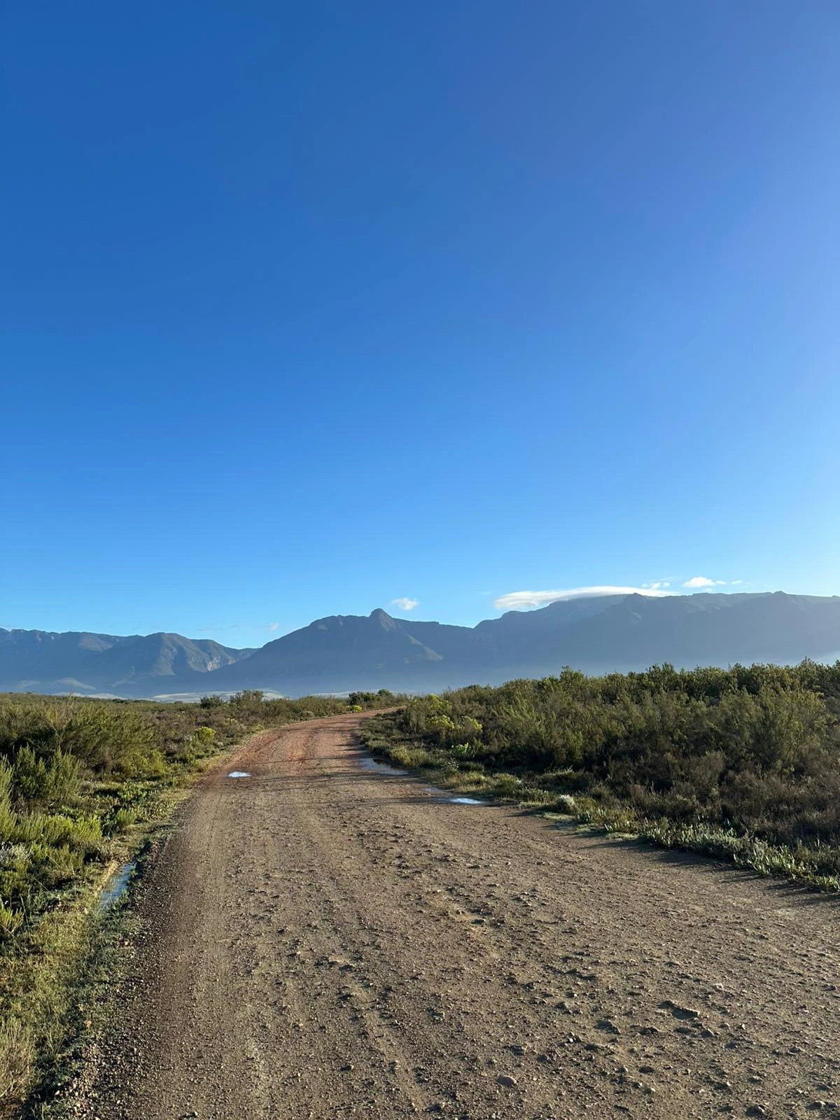 Bontebok National Park, 
Swellendam South Africa