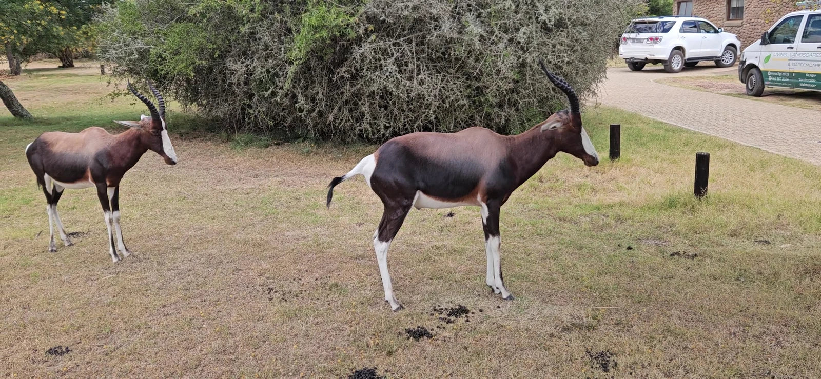 Bontebok National Park, 
Swellendam South Africa