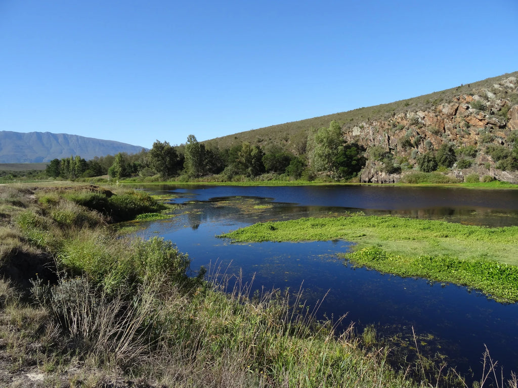 Bontebok National Park, 
Swellendam South Africa
