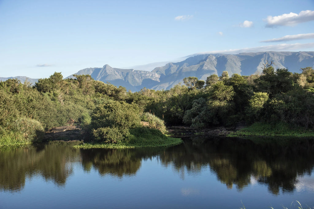 Bontebok National Park, 
Swellendam South Africa