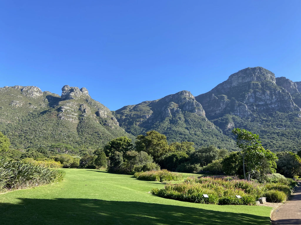 Botanischer Garten Kirstenbosch, Cape Town South Africa