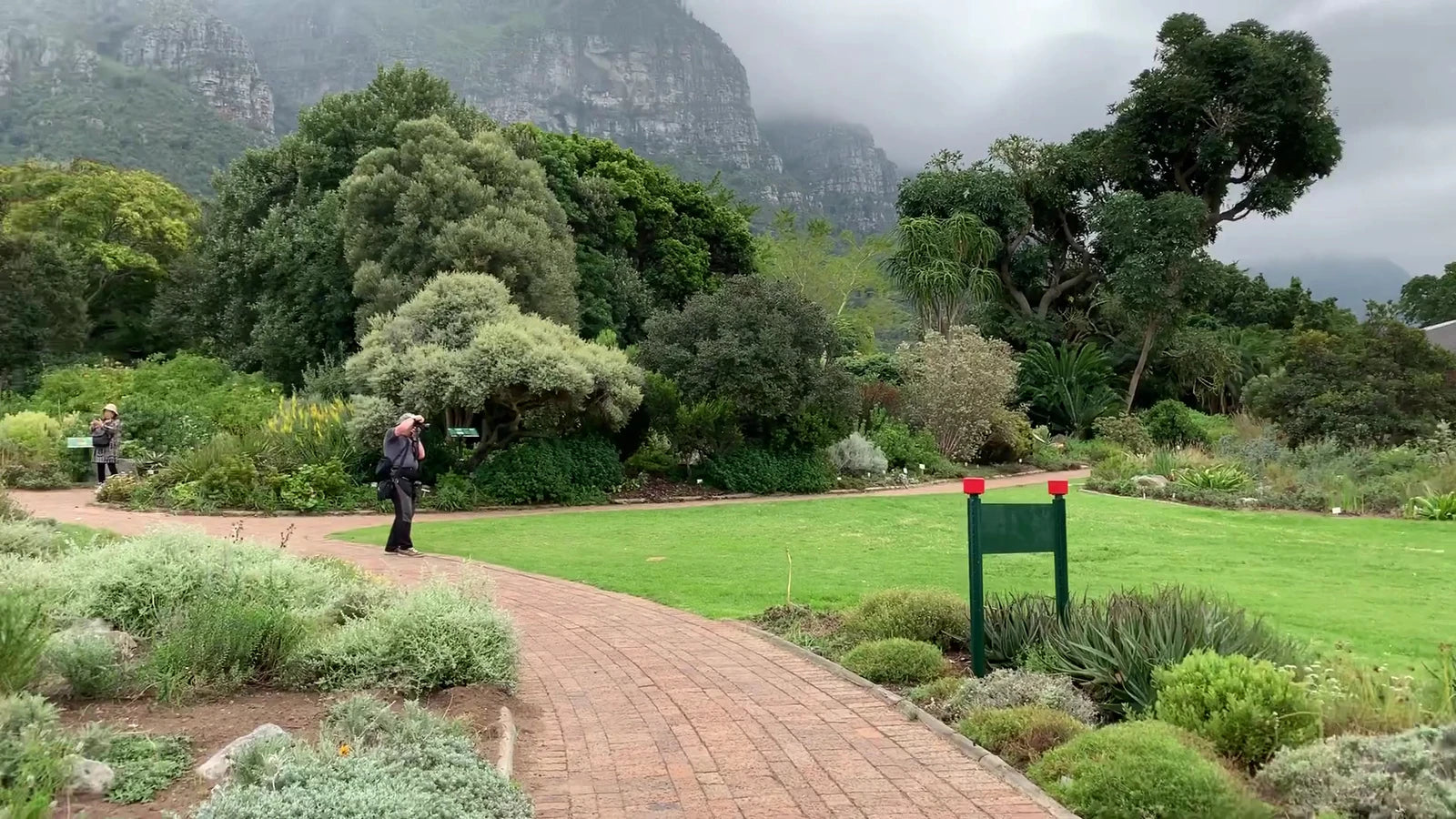 Botanischer Garten Kirstenbosch, Cape Town South Africa