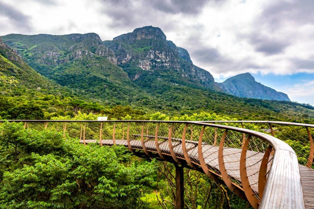 Botanischer Garten Kirstenbosch, Cape Town South Africa
