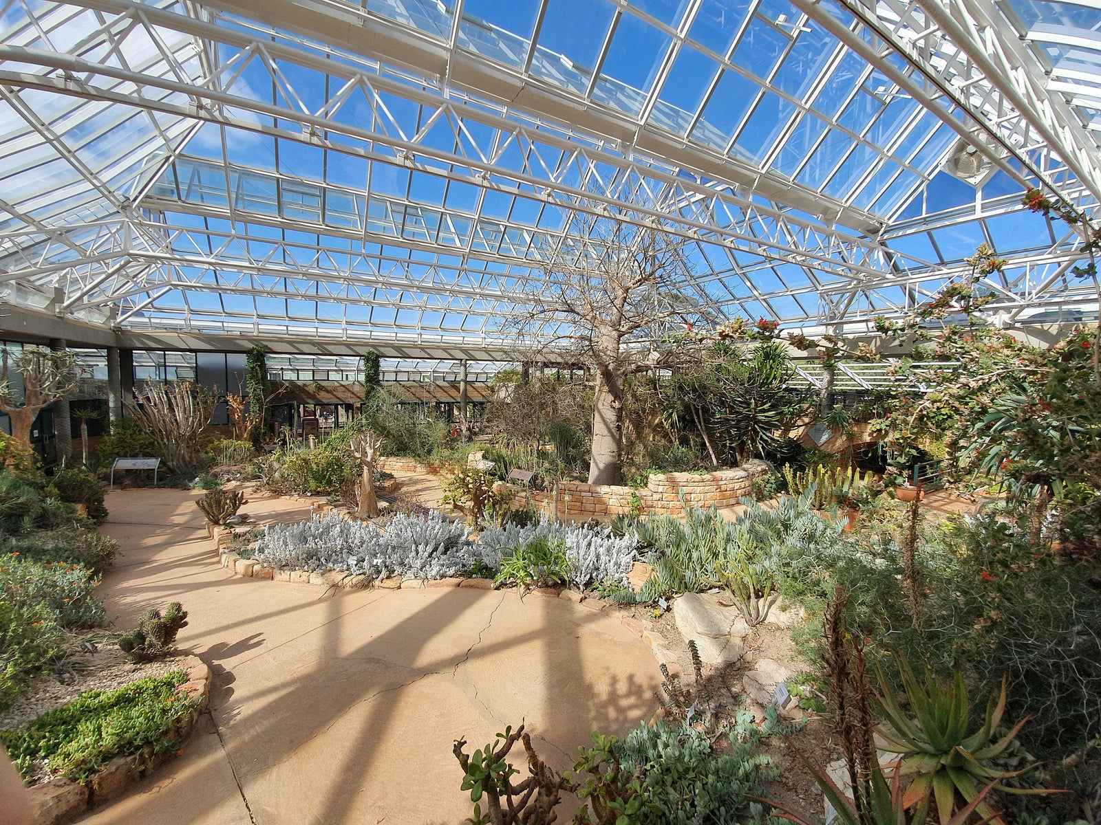 Botanischer Garten Kirstenbosch, Cape Town South Africa