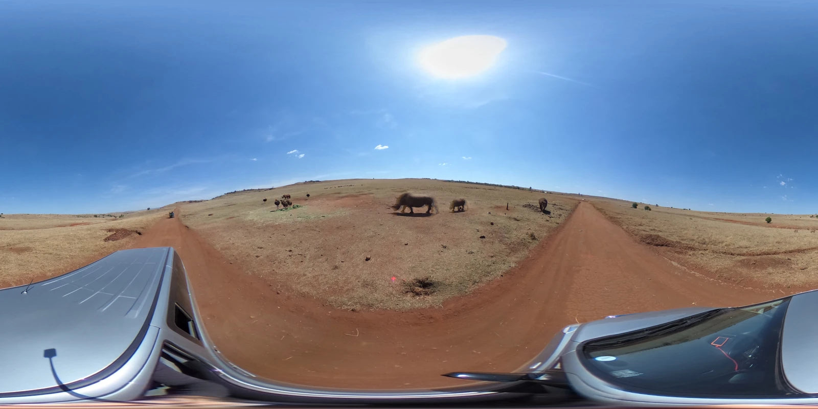 Bothongo Rhino & Lion Nature Reserve, Krugersdorp South Africa