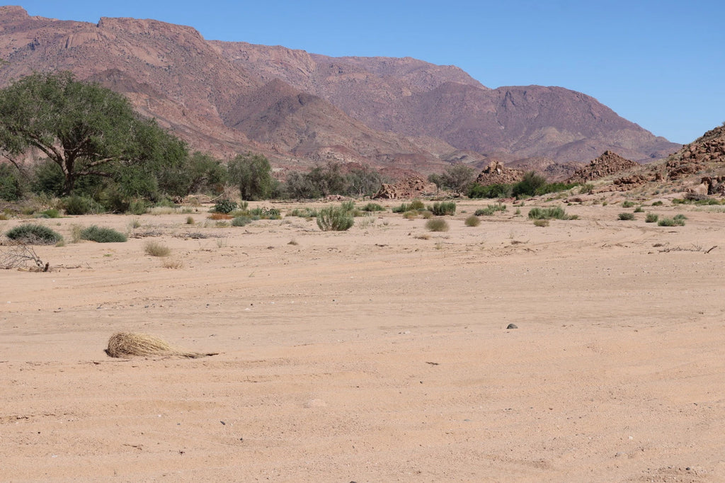 Brandberg White Lady Lodge, Uis Namibia
