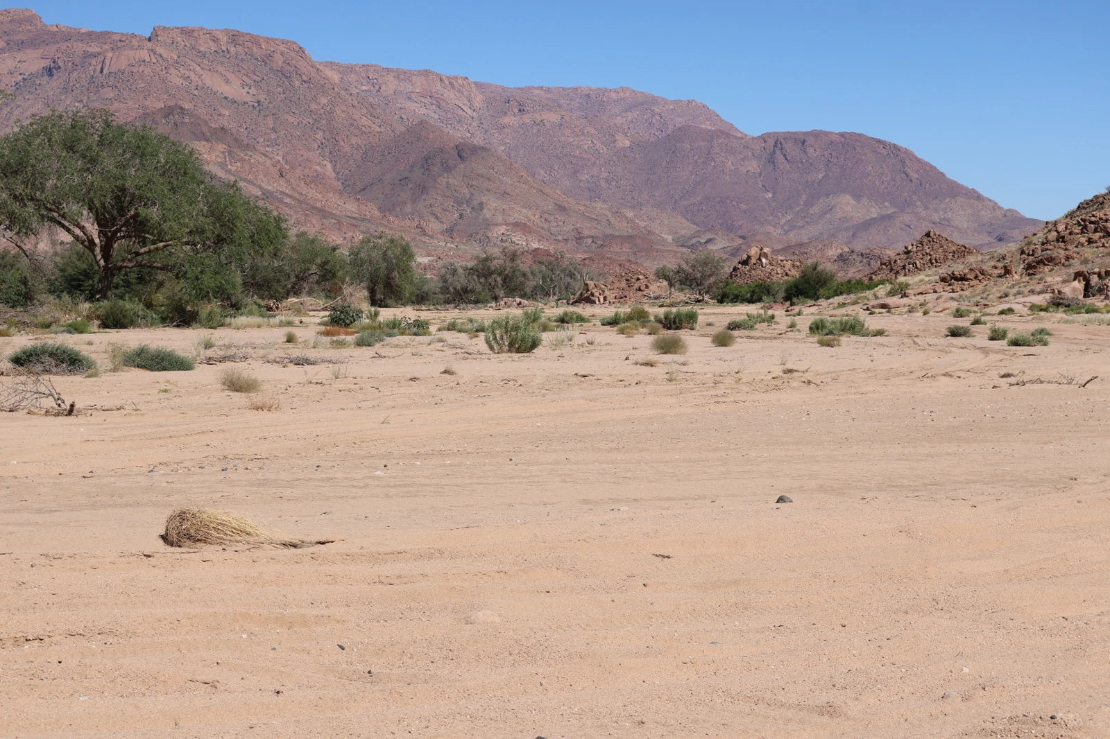 Brandberg White Lady Lodge, Uis Namibia