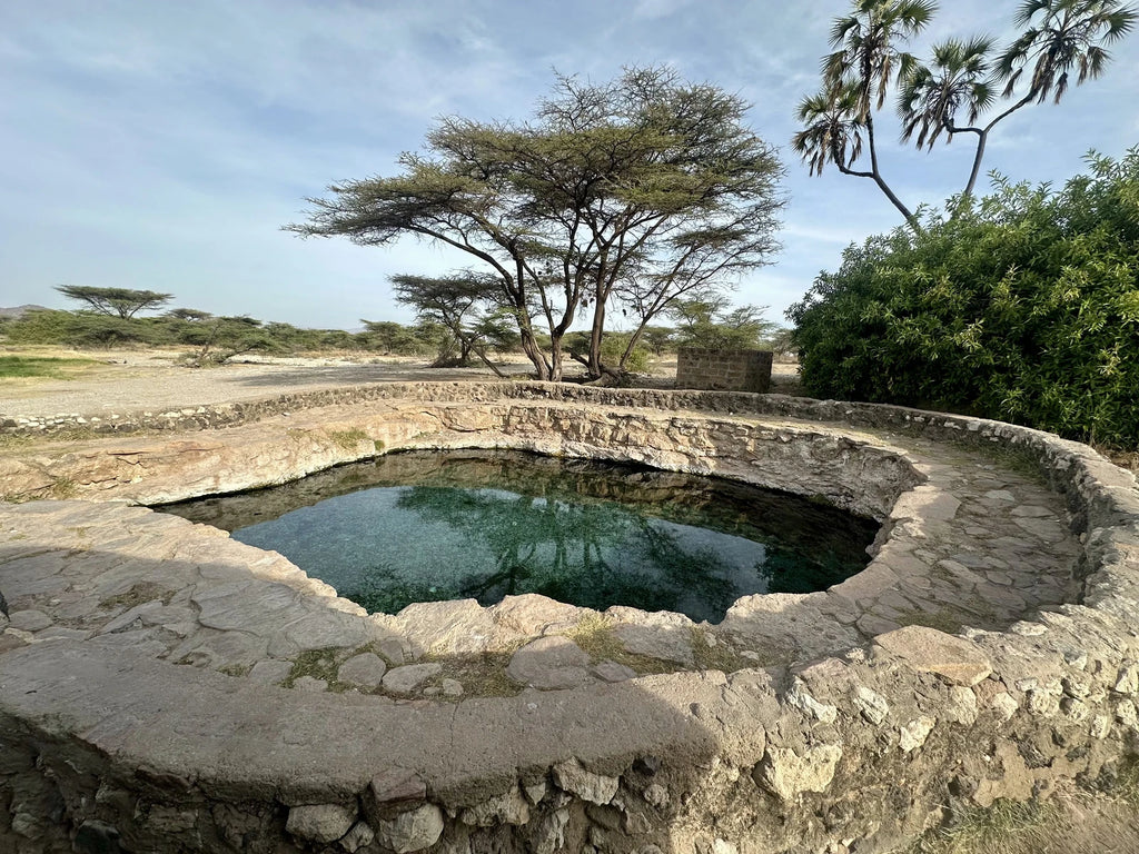 Buffalo Springs National Reserve,  Kenya