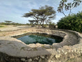 Buffalo Springs National Reserve,  Kenya