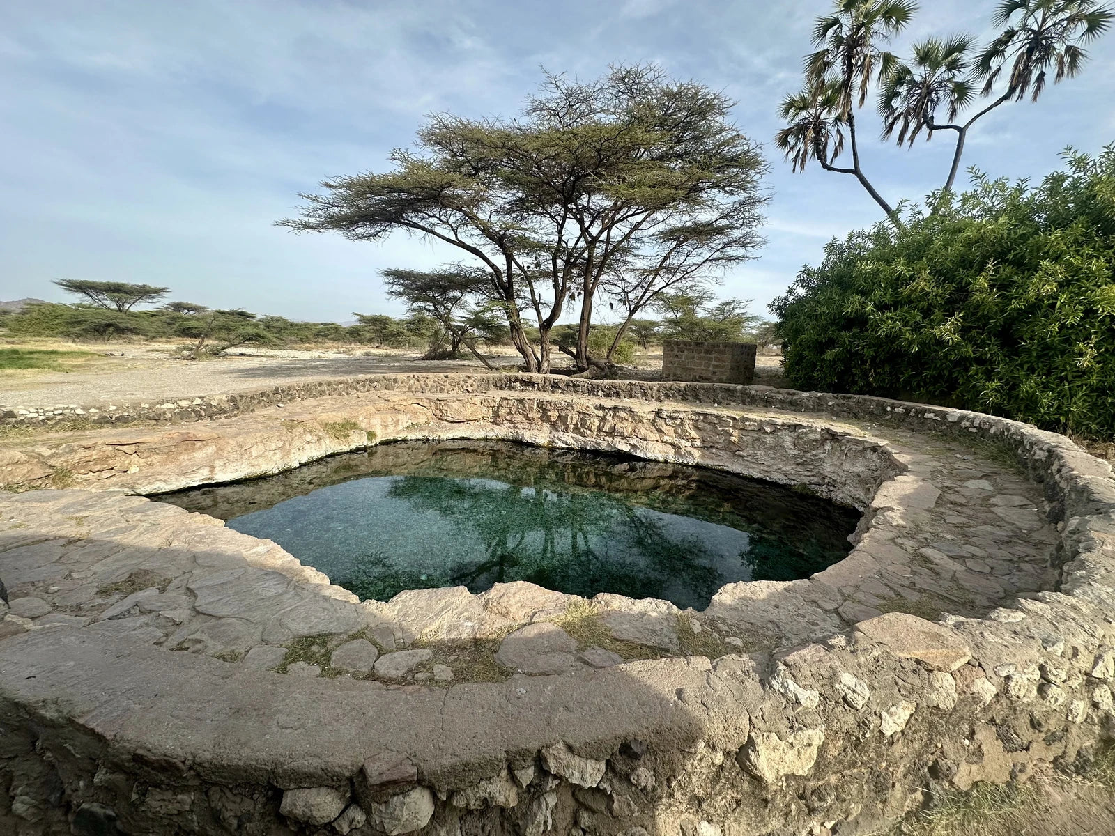 Buffalo Springs National Reserve,  Kenya