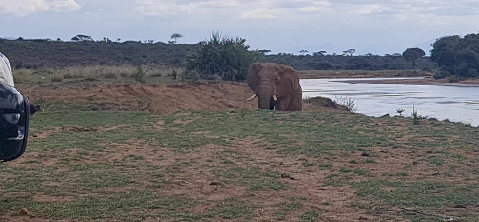 Buffalo Springs National Reserve,  Kenya