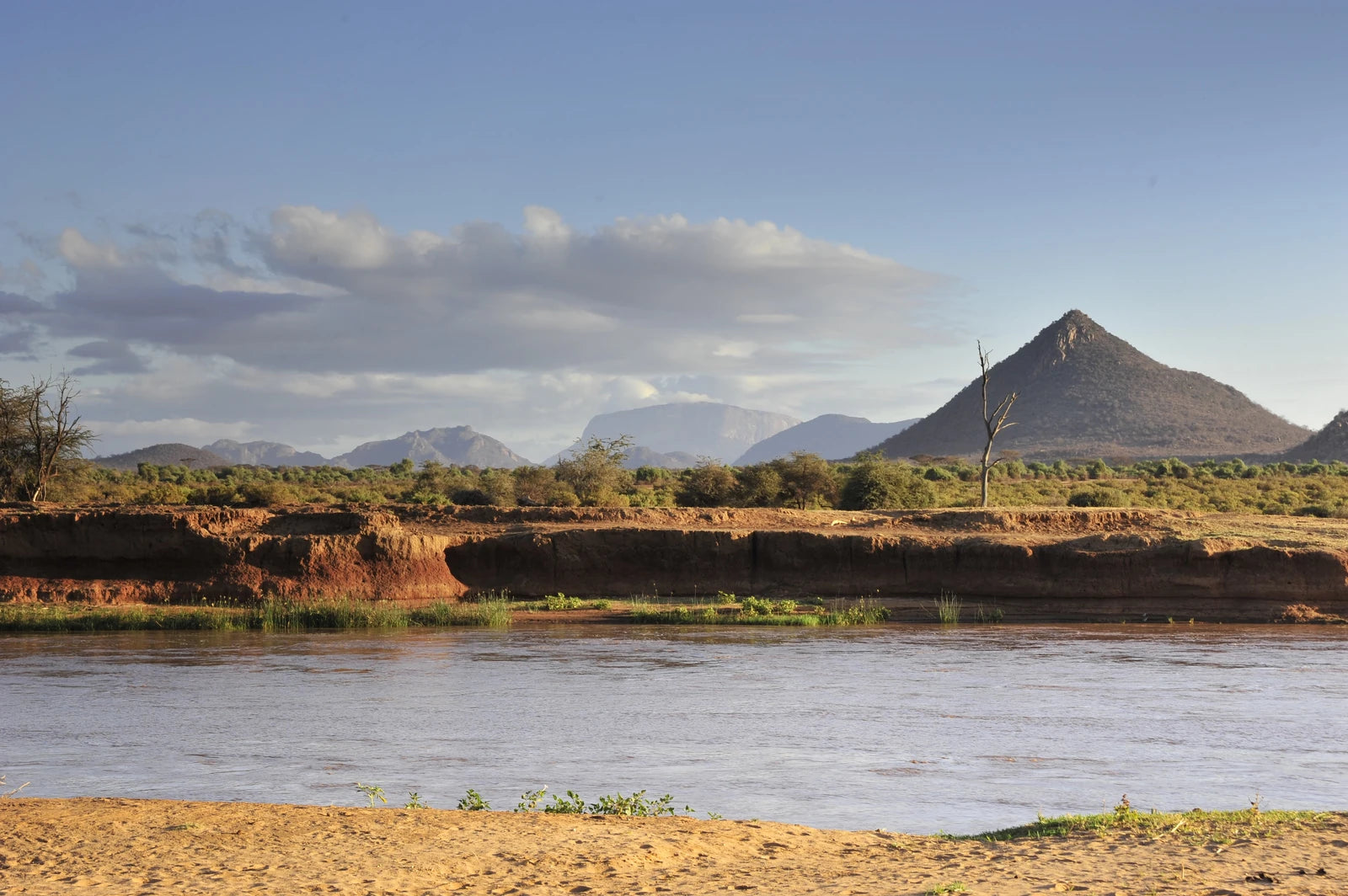 Buffalo Springs National Reserve,  Kenya
