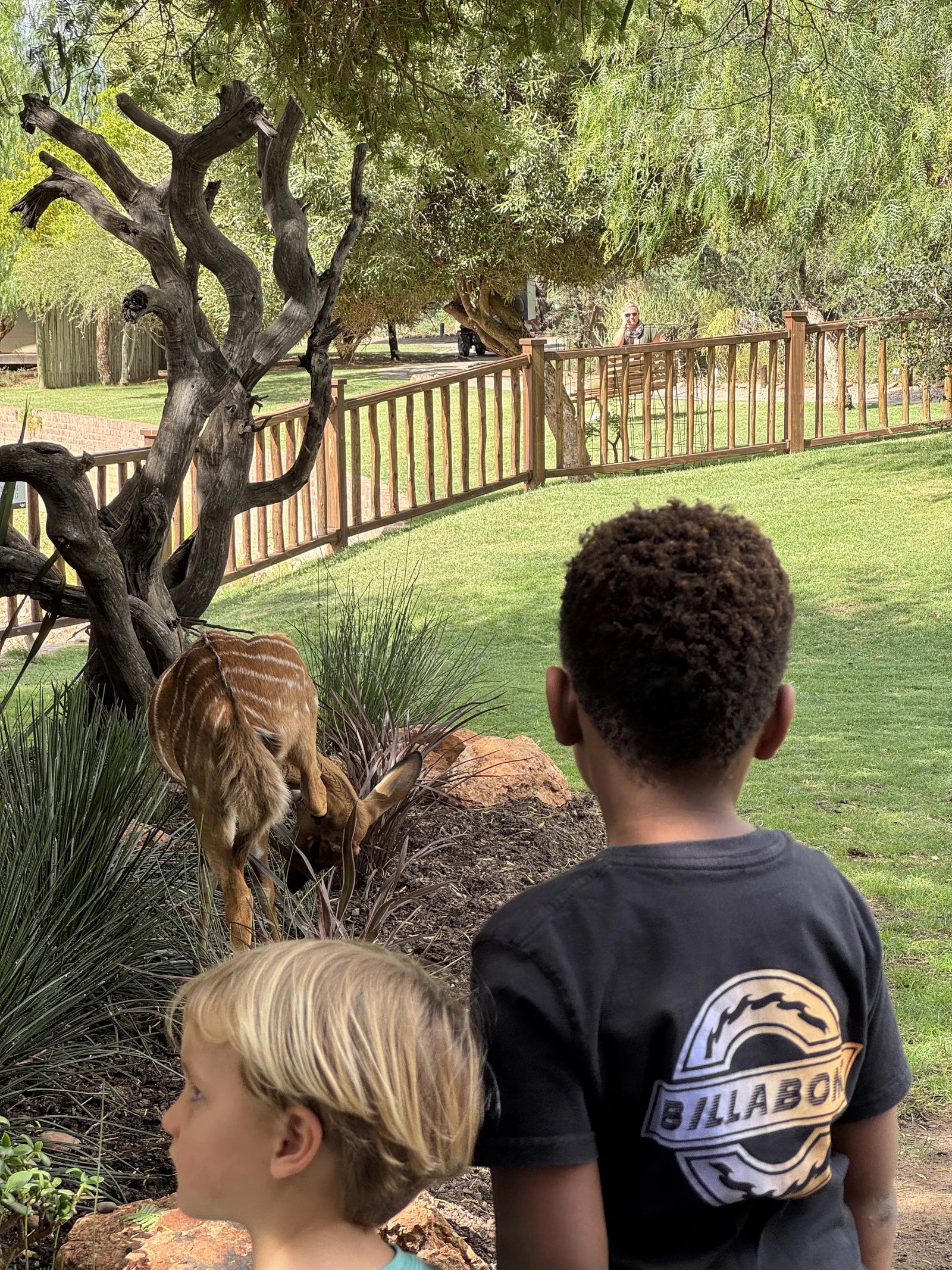 Buffelsdrift Game Lodge, Oudtshoorn South Africa