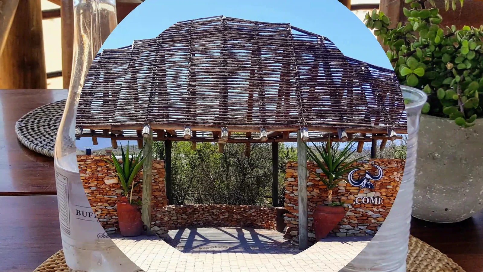 Buffelsdrift Game Lodge, Oudtshoorn South Africa