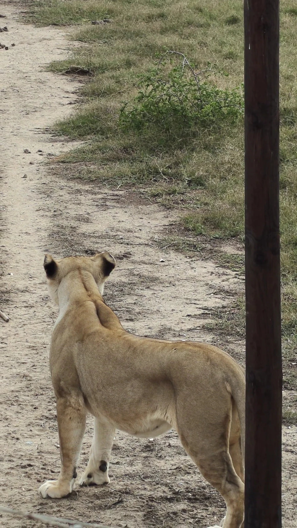 Buffelsfontein Game & Nature Reserve, West Coast South Africa