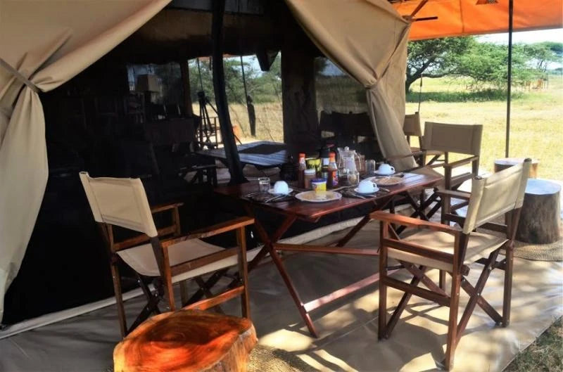 BURIGI CHATO SAFARIS CO LTD - Tanzania Serengeti Safaris | Kilimanjaro Climbing (Hiking) & Zanzibar Tour Operators, Kilimanjaro TZ Tanzania