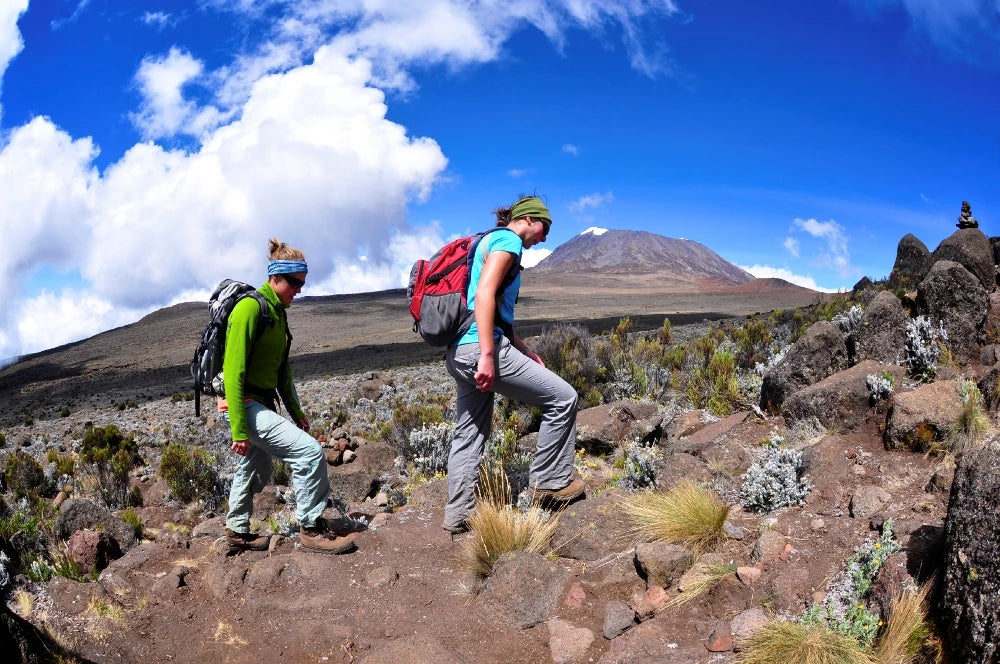 BURIGI CHATO SAFARIS CO LTD - Tanzania Serengeti Safaris | Kilimanjaro Climbing (Hiking) & Zanzibar Tour Operators, Kilimanjaro TZ Tanzania