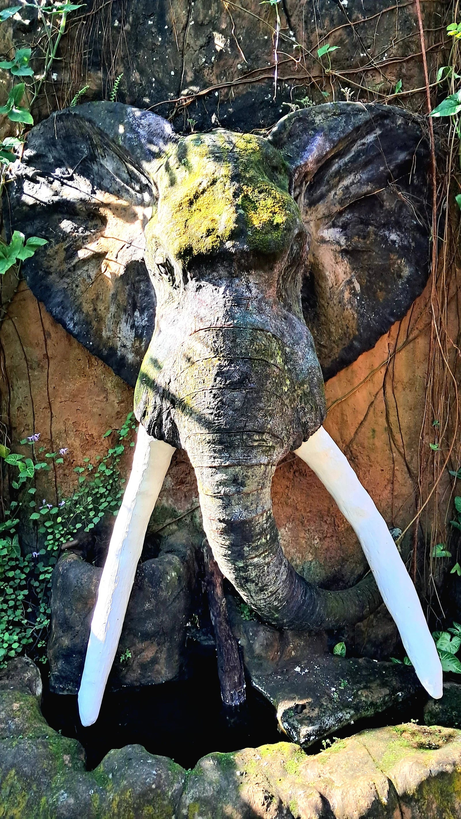 Butterfly Valley butterfly farm, Ramsgate South Africa