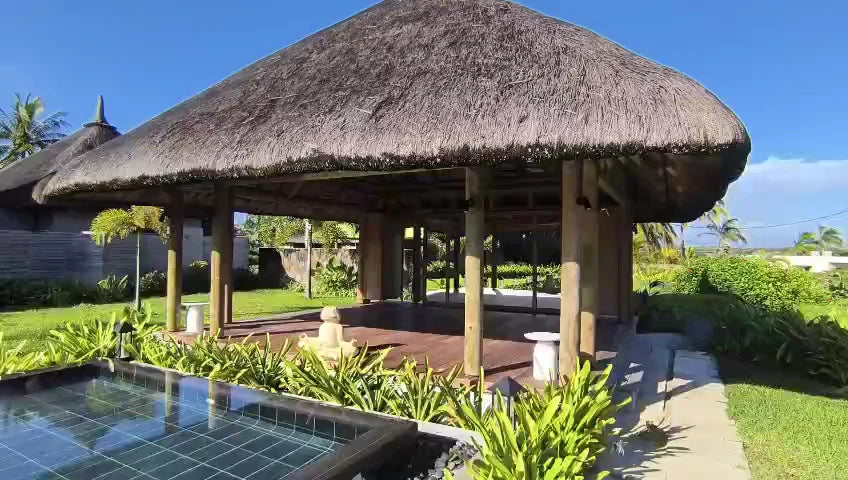 C Mauritius, Palmar Mauritius