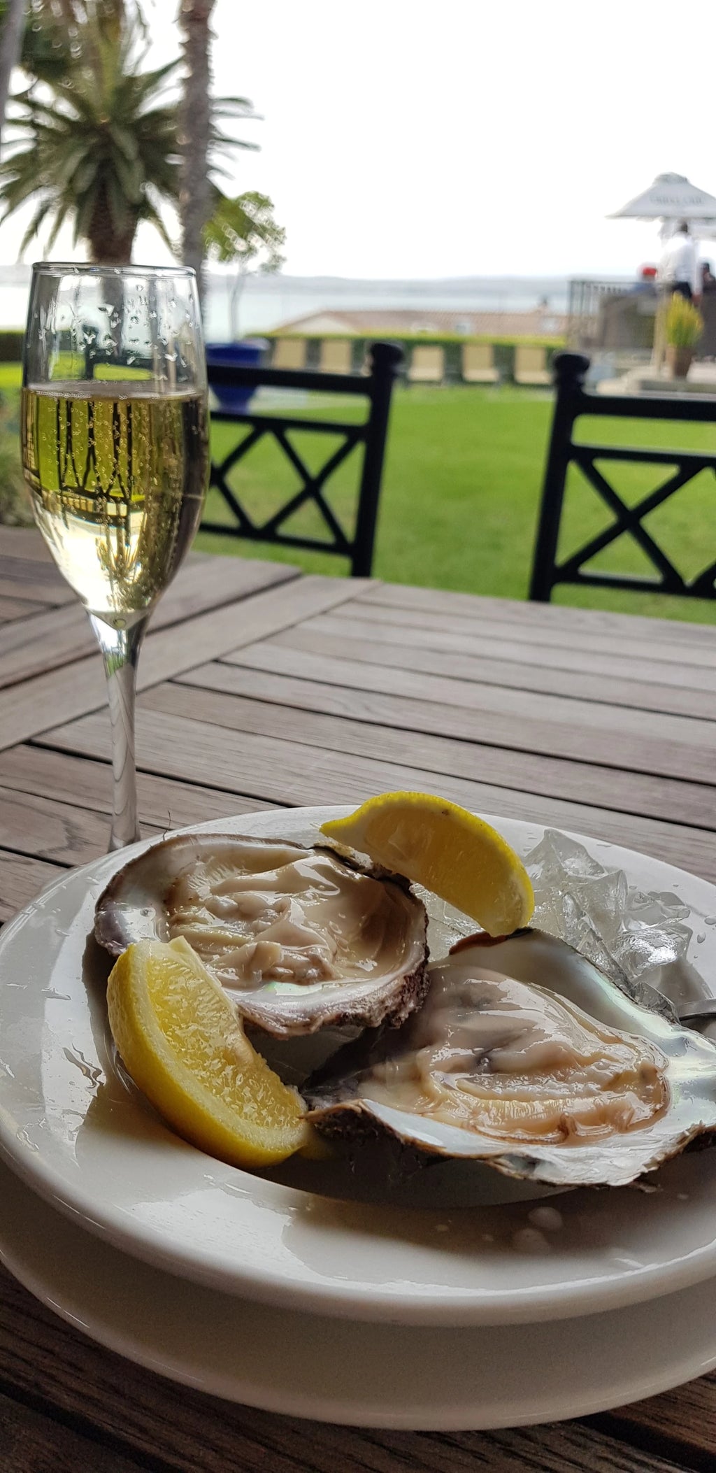 Cafe Gannet Restaurant, Mossel Bay South Africa