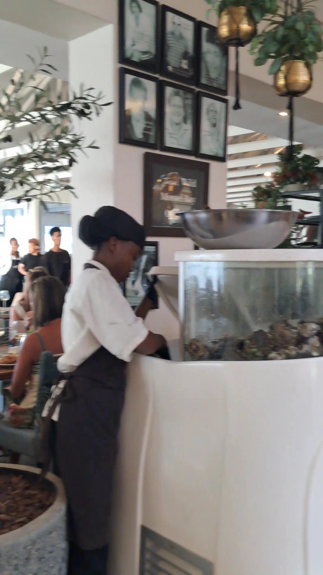 Cafe Gannet Restaurant, Mossel Bay South Africa