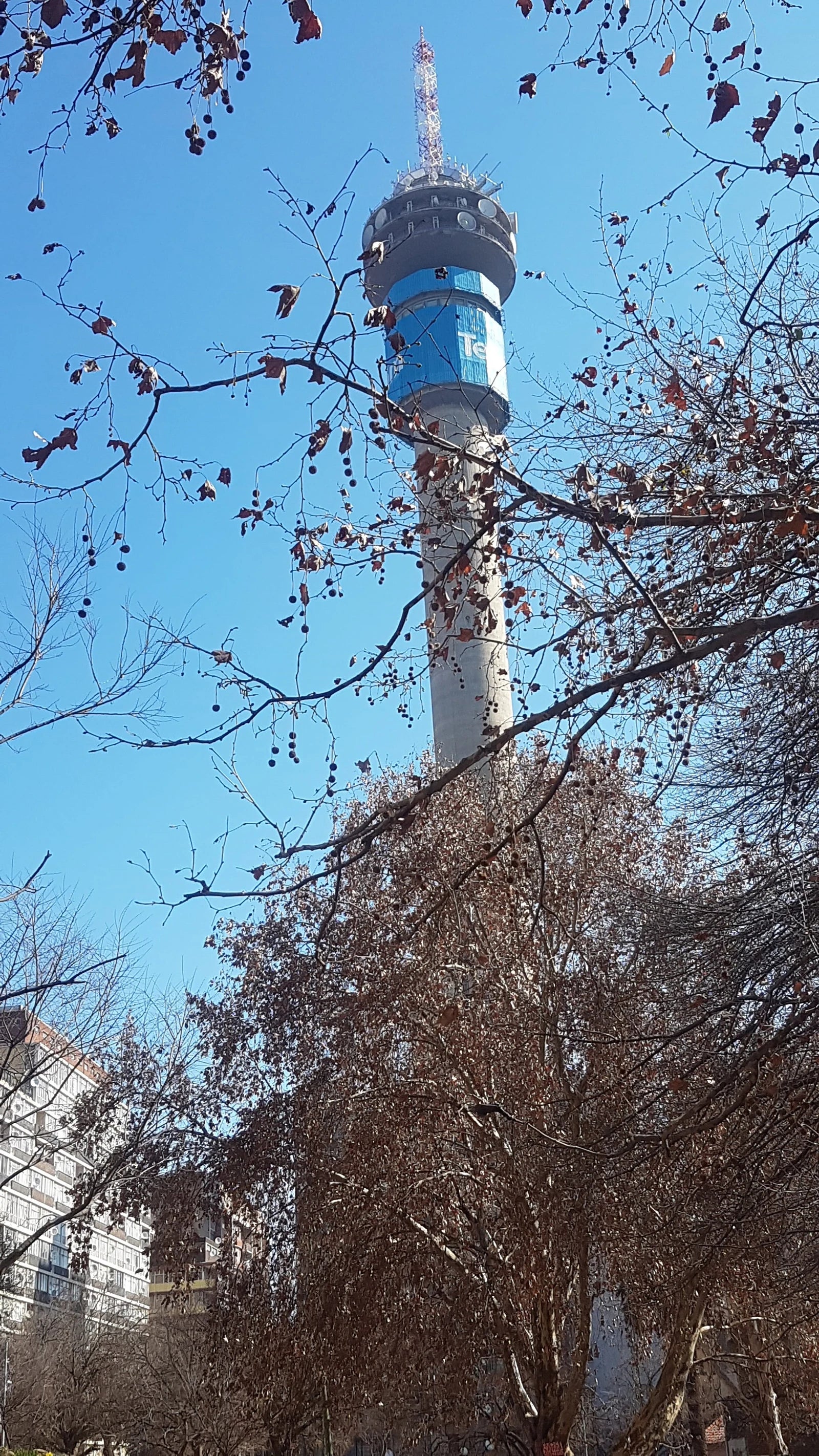 Calgro M3 Memorial Parks, Johannesburg South South Africa