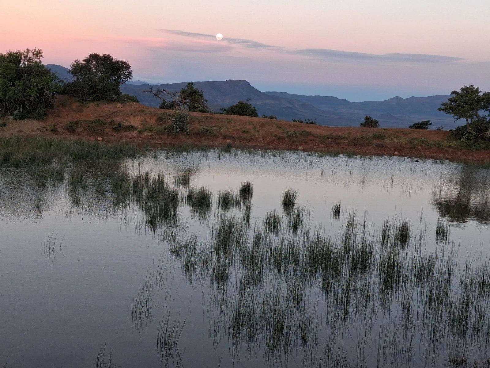Camdeboo National Park, Robert Sobukwe South Africa