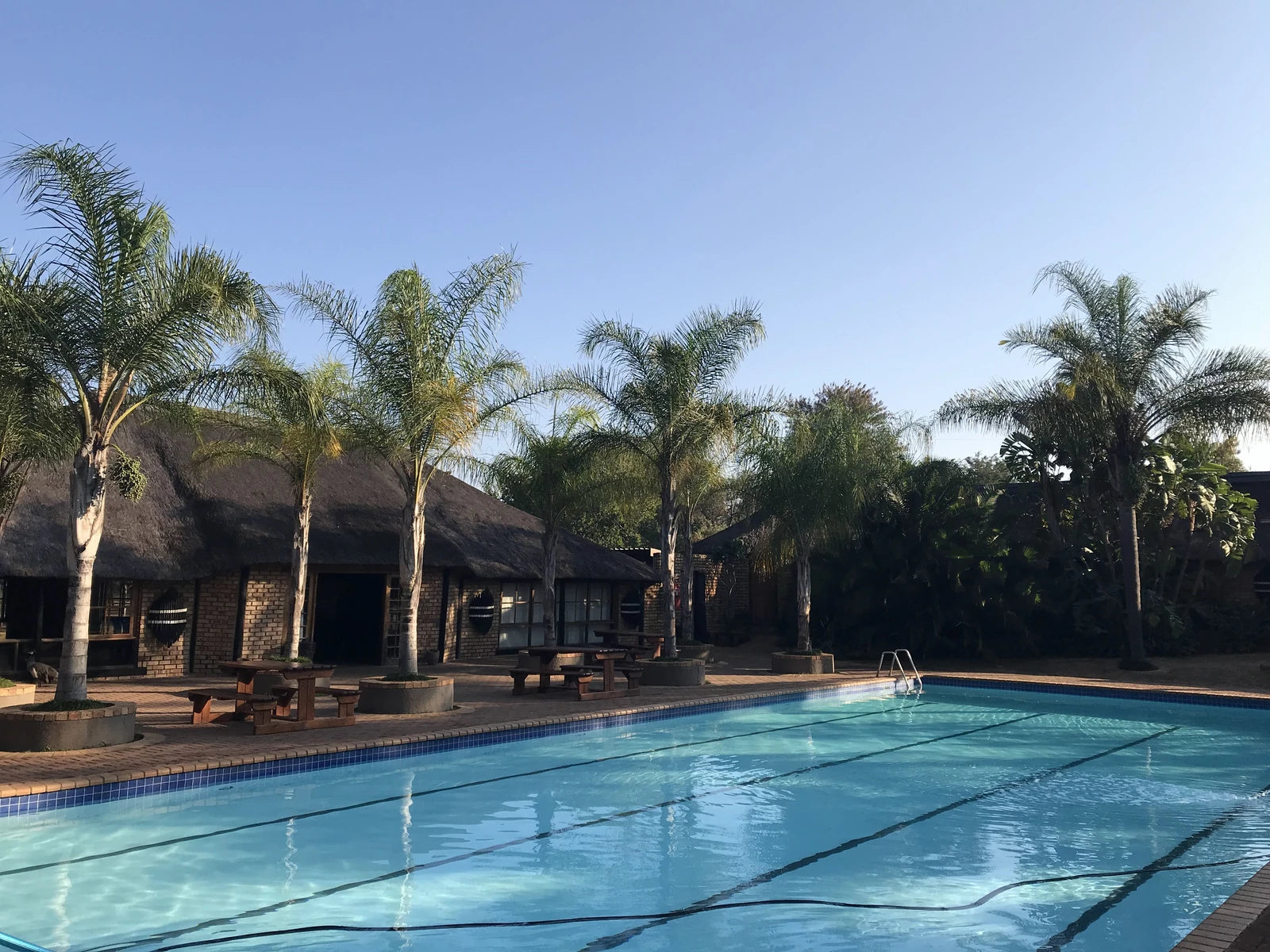 Camp Discovery, 
Dinokeng South Africa