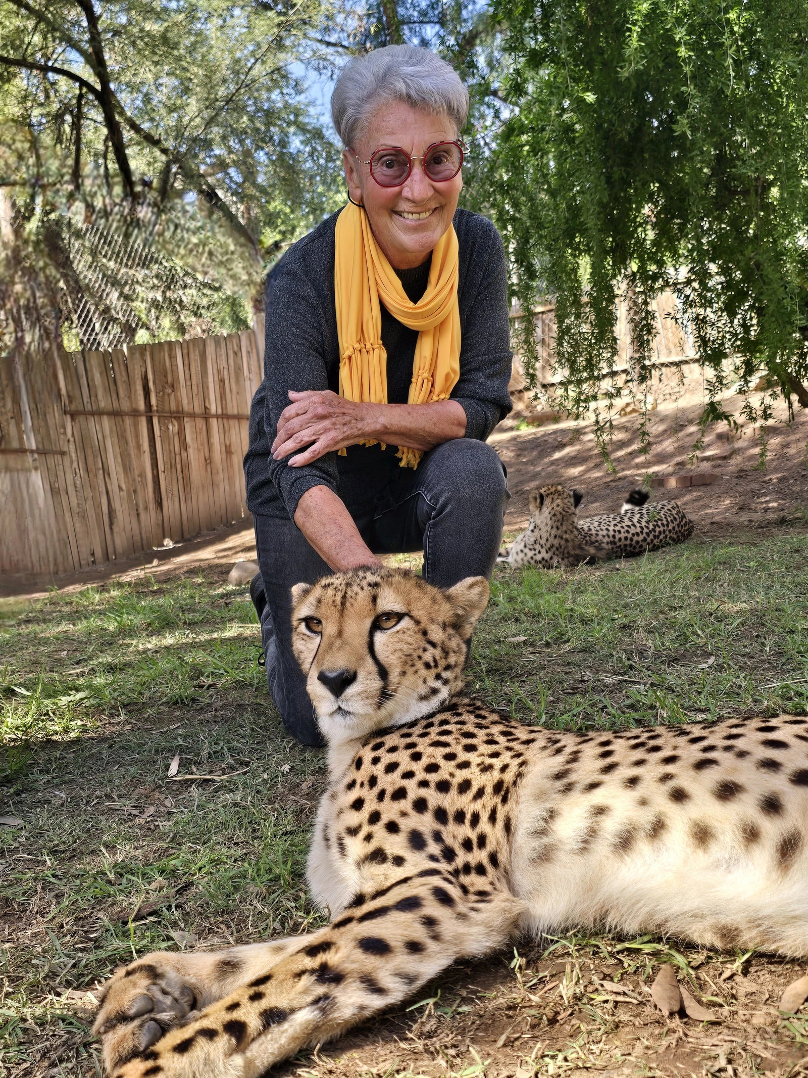Cango Wildlife Ranch, Oudtshoorn South Africa
