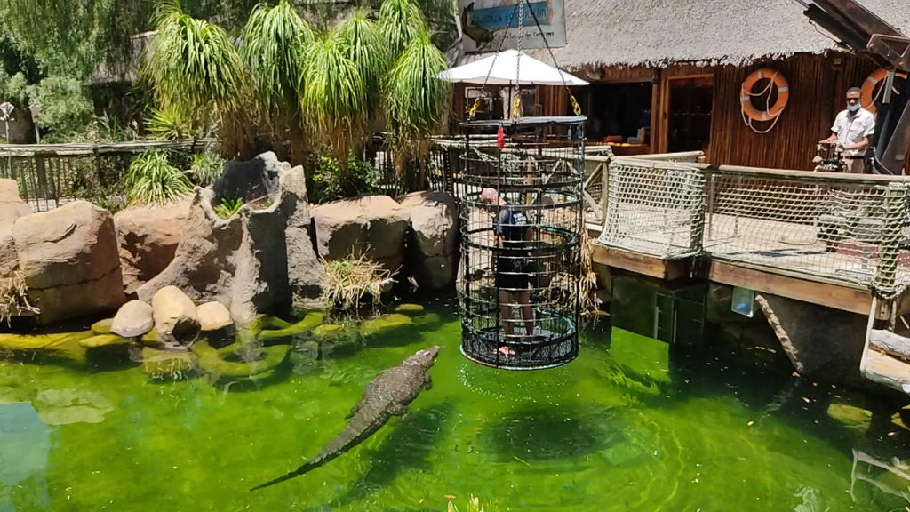 Cango Wildlife Ranch, Oudtshoorn South Africa