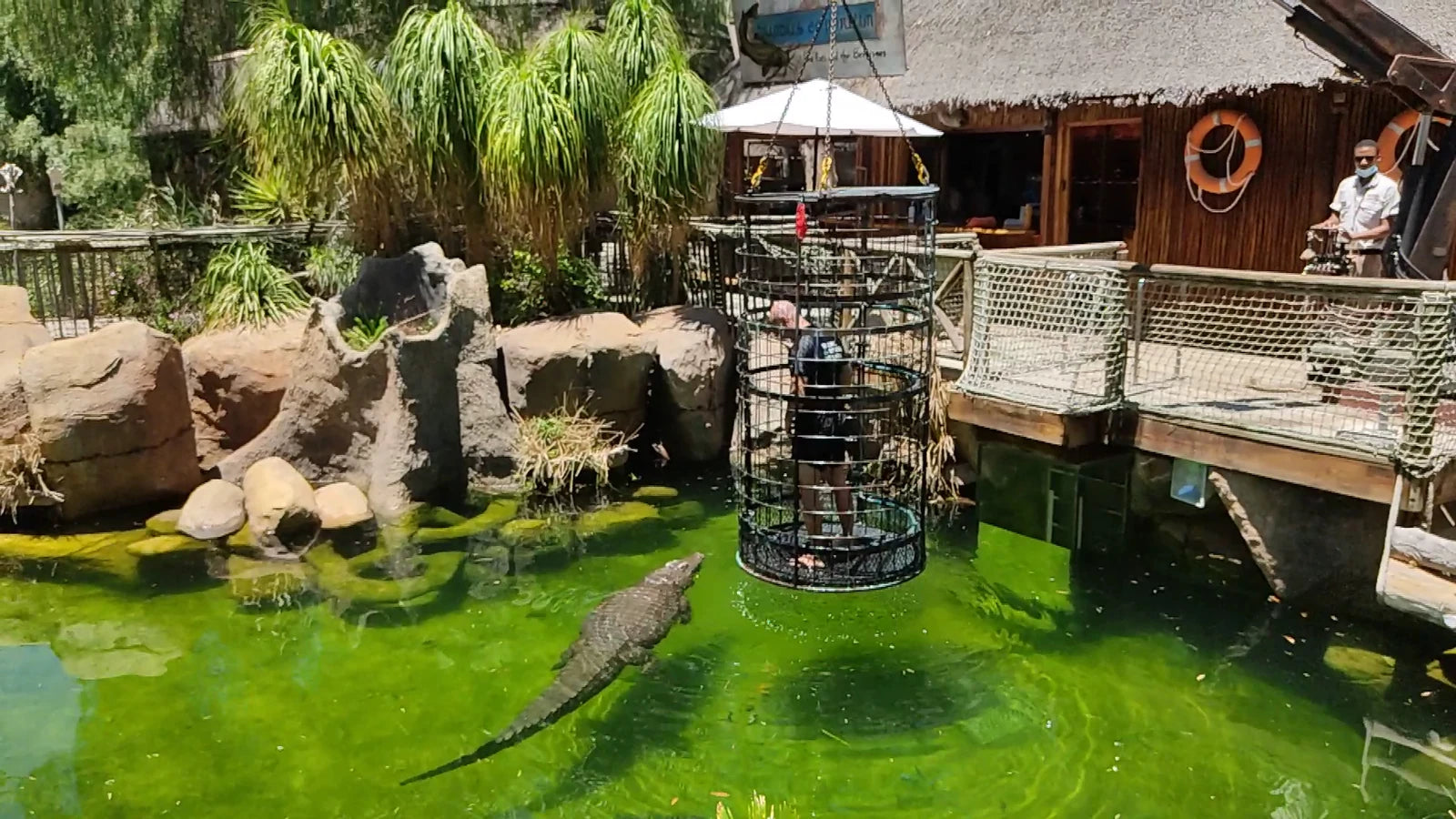 Cango Wildlife Ranch, Oudtshoorn South Africa