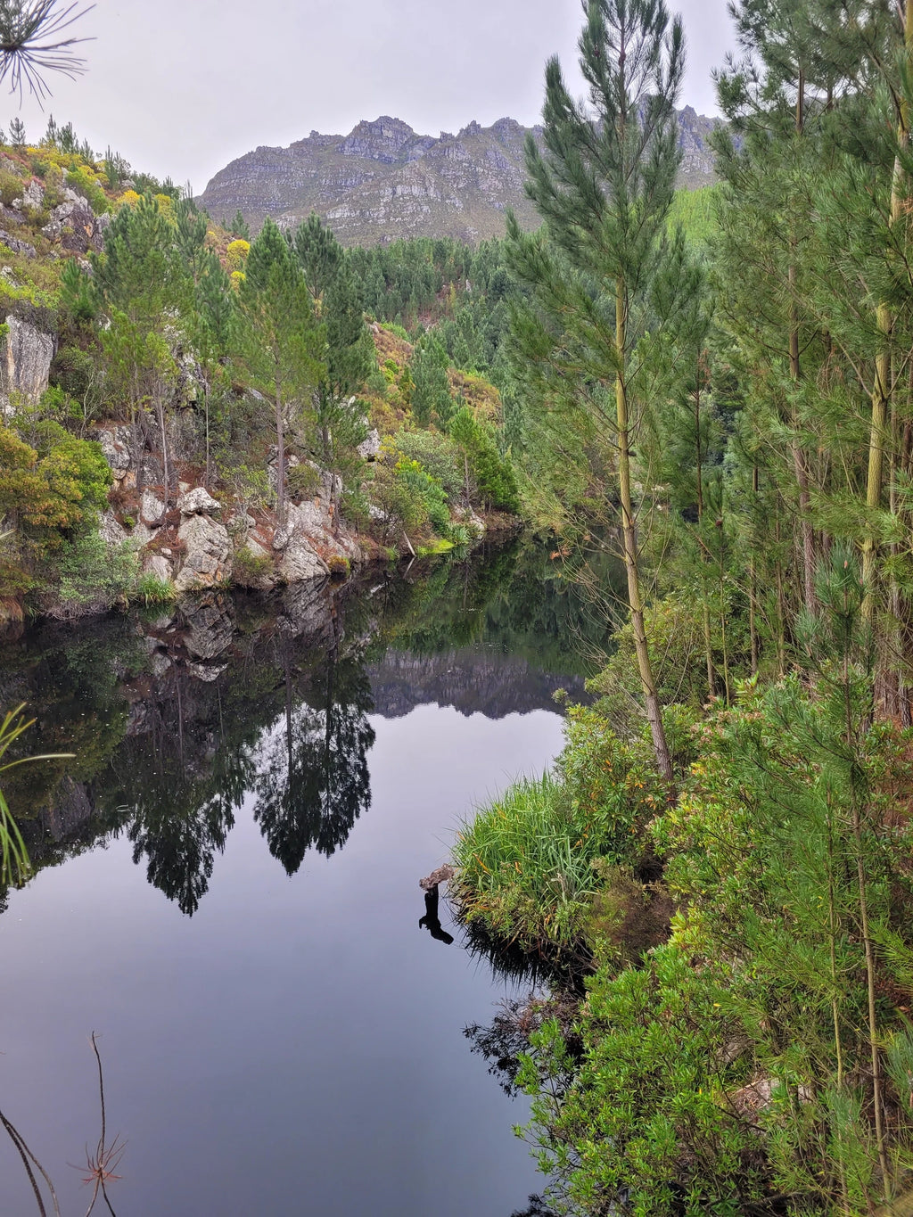 Cape Canopy Tour, Grabouw South Africa