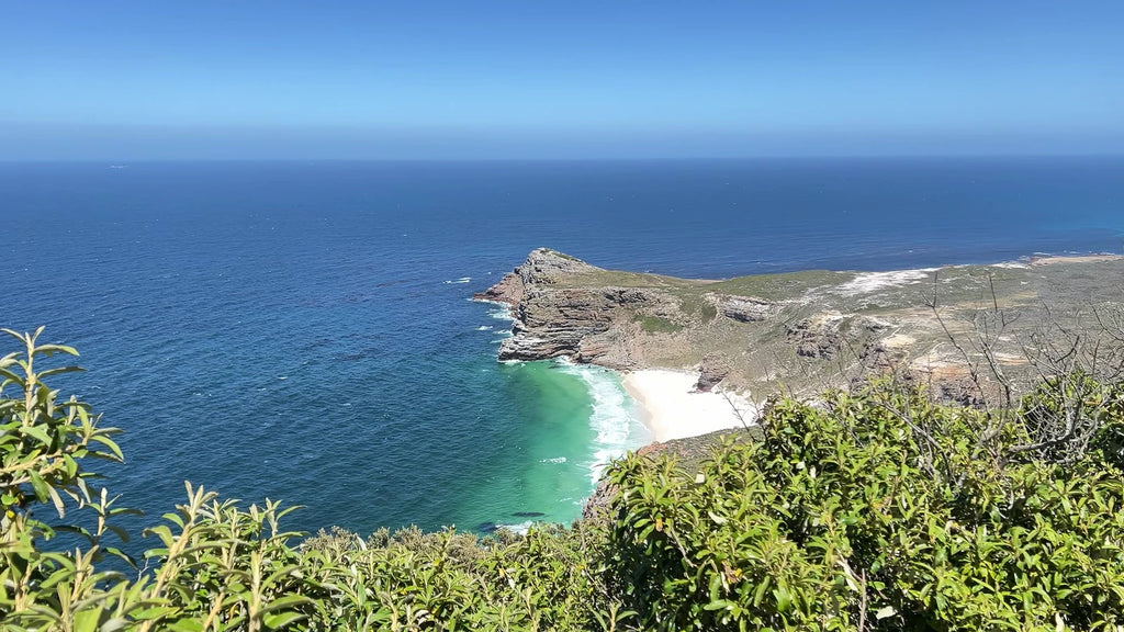 Cape Point Nature Reserve, Simon's Town South Africa