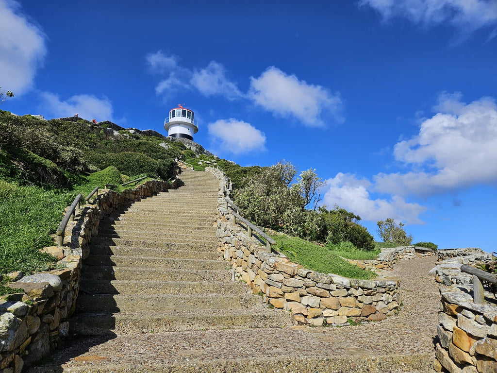 Cape Point Nature Reserve, Simon's Town South Africa
