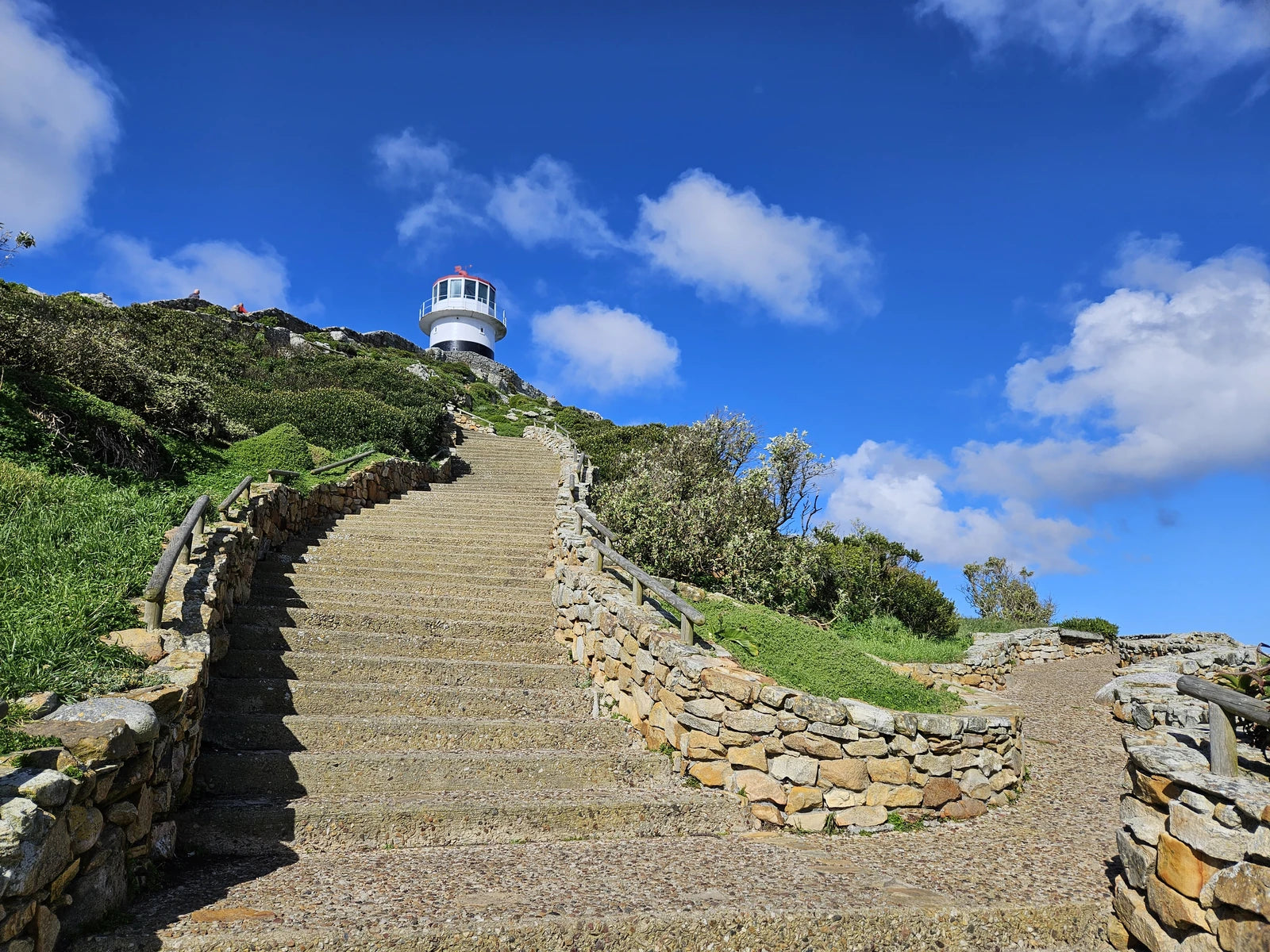 Cape Point Nature Reserve, Simon's Town South Africa
