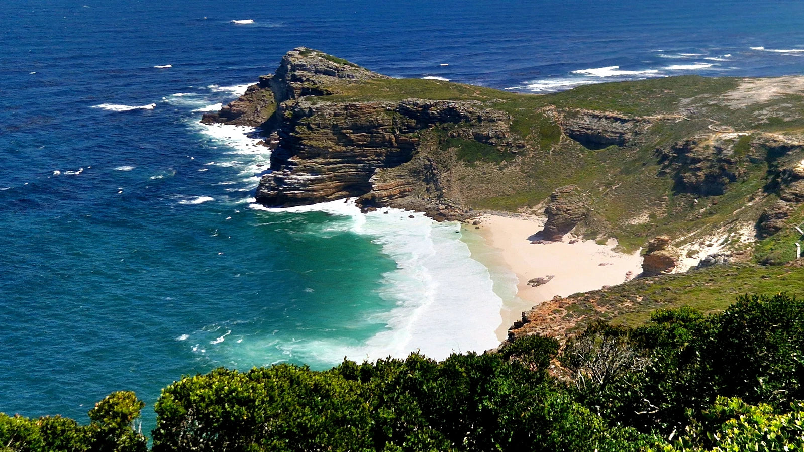 Cape Point Nature Reserve, Simon's Town South Africa