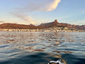 Cape Town Cruises, Cape Town South Africa